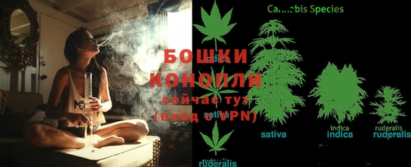 меф Алапаевск