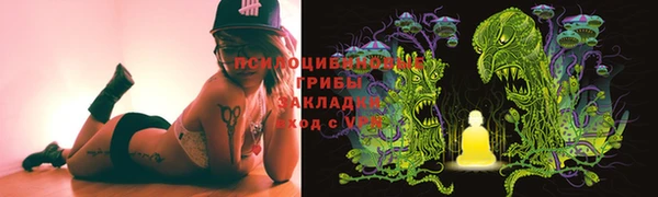 крисы Аркадак