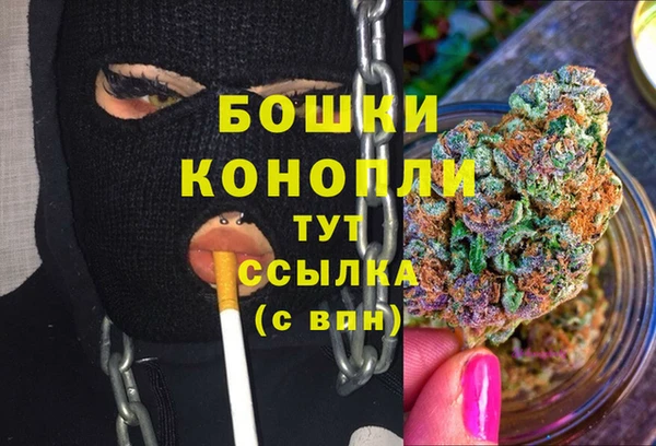 молекула духа Баксан